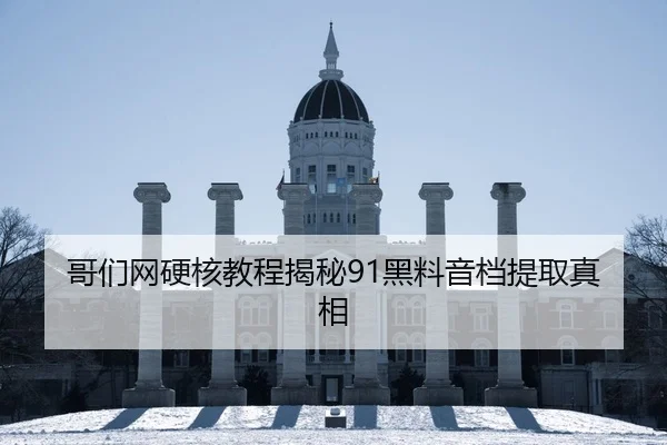 哥们网硬核教程揭秘91黑料音档提取真相